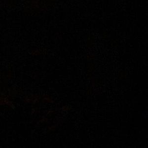 Meet your Posher, Bob